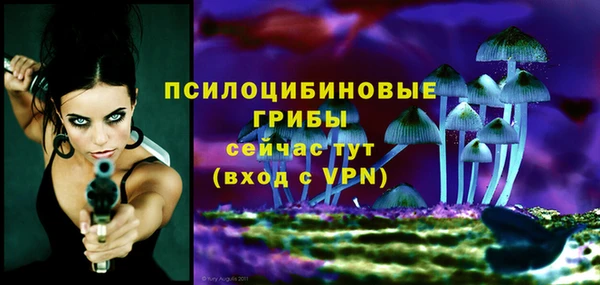 а пвп мука Аркадак
